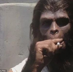 Meet your Posher, Donny